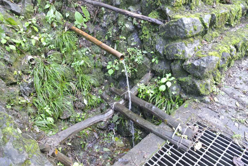 埼玉県東秩父村・観音水下の湧水