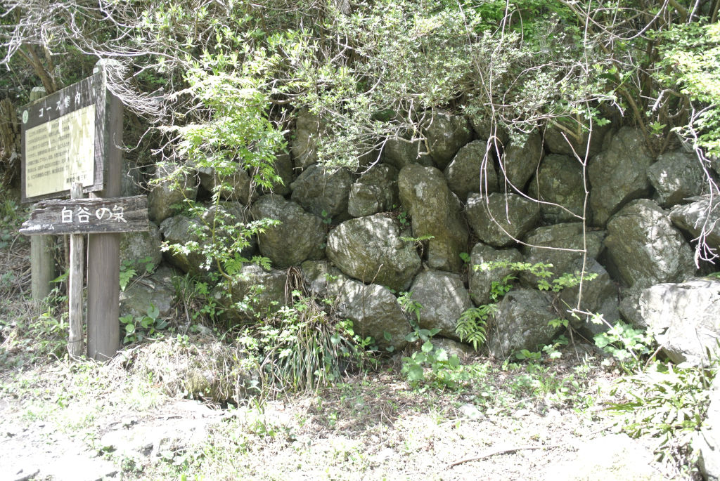 埼玉県飯能市・白谷の泉