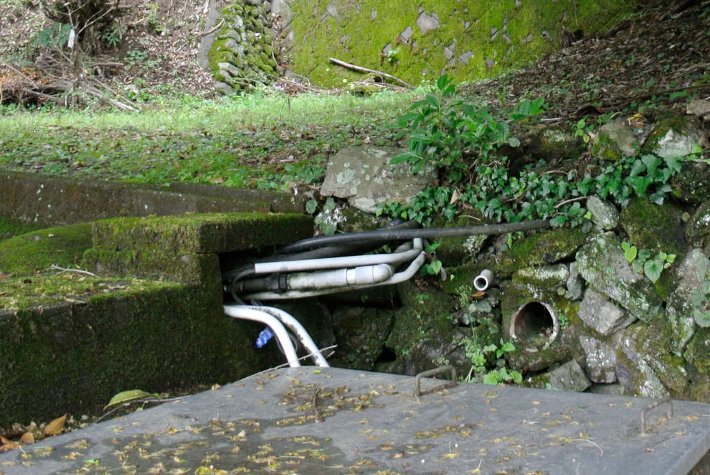埼玉県飯能市・三輪神社の水