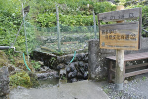 東京都奥多摩町・境の清泉