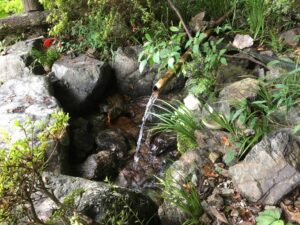 埼玉県飯能市・竜神の湧水