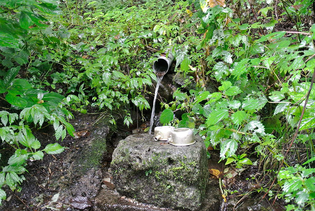 栃木県日光市・小休戸の清水