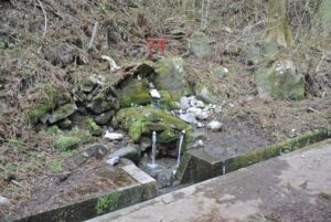 群馬県渋川市・十二様の湧水