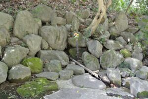群馬県渋川市・良珊寺湧水