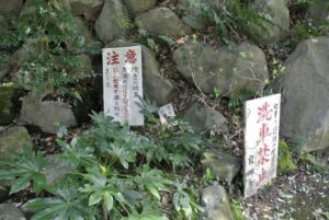 群馬県渋川市・良珊寺湧水