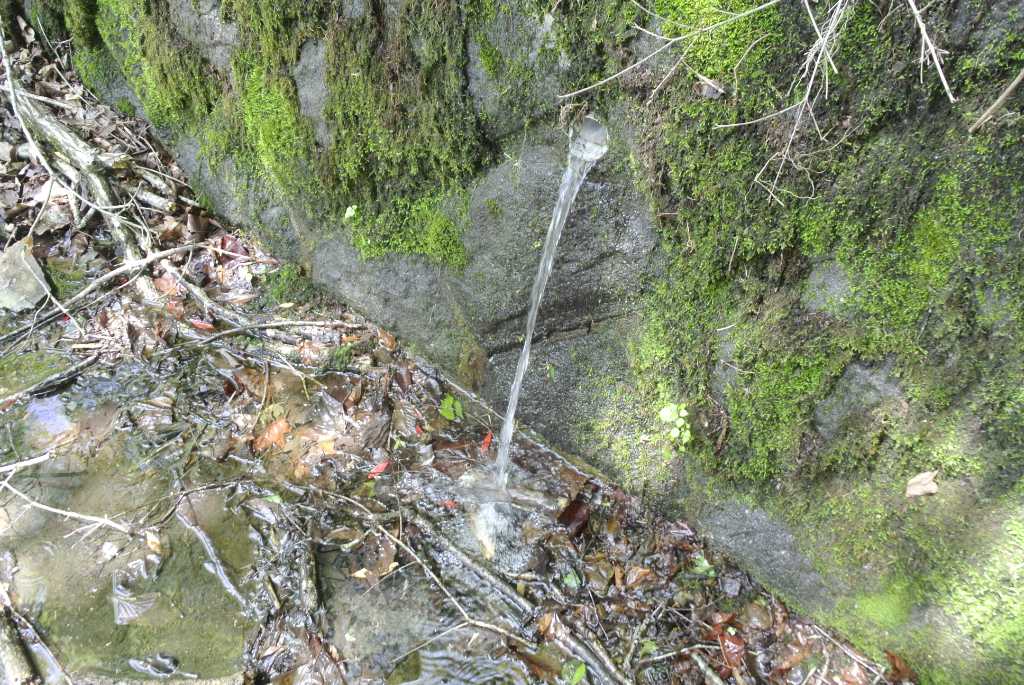 神奈川県相模原市・宮ヶ瀬湖の湧水