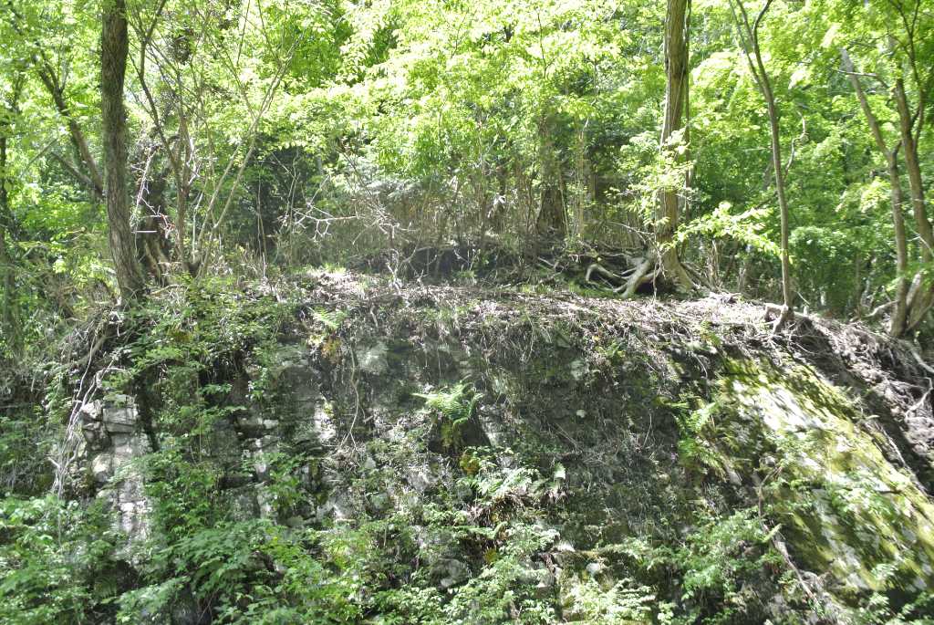 宮ヶ瀬湖の湧水