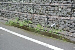山梨県大月市・鳥沢の湧水（おいしい湧き水）