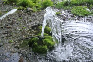 山梨県富士吉田市・月江寺池の水