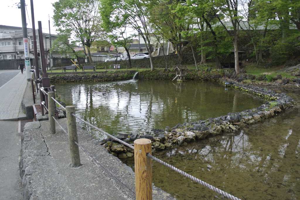 山梨県富士吉田市・月江寺池の水