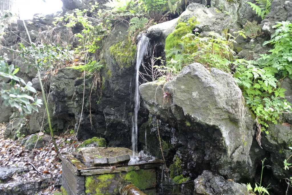 山梨県富士吉田市・月江寺池の水