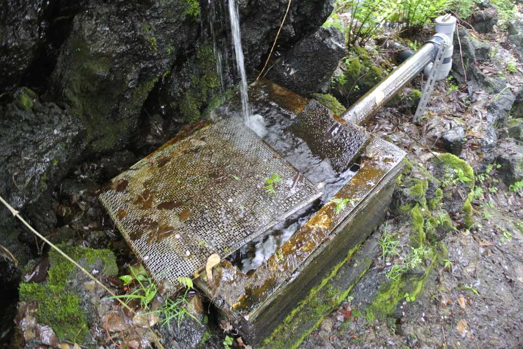 山梨県富士吉田市・月江寺池の水
