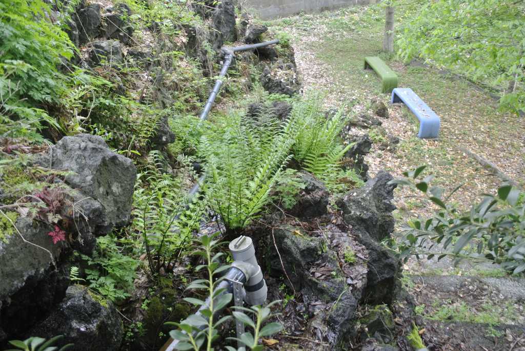 山梨県富士吉田市・月江寺池の水