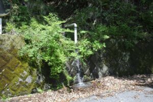神奈川県相模原市・宮ヶ瀬湖の沢水