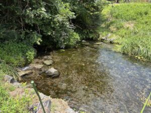 静岡県富士宮市・猪之頭の水