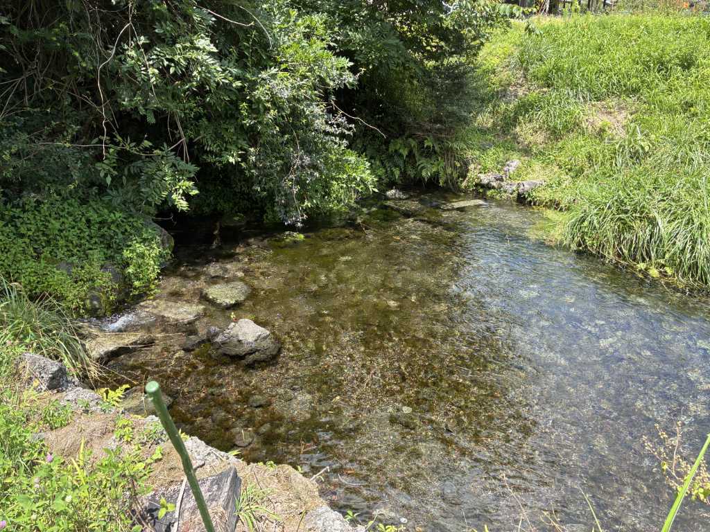 静岡県富士宮市・猪之頭の湧水