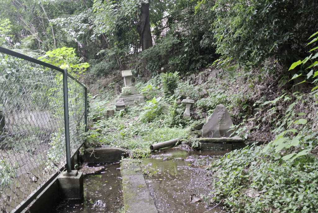 埼玉県新座市・中野の湧水