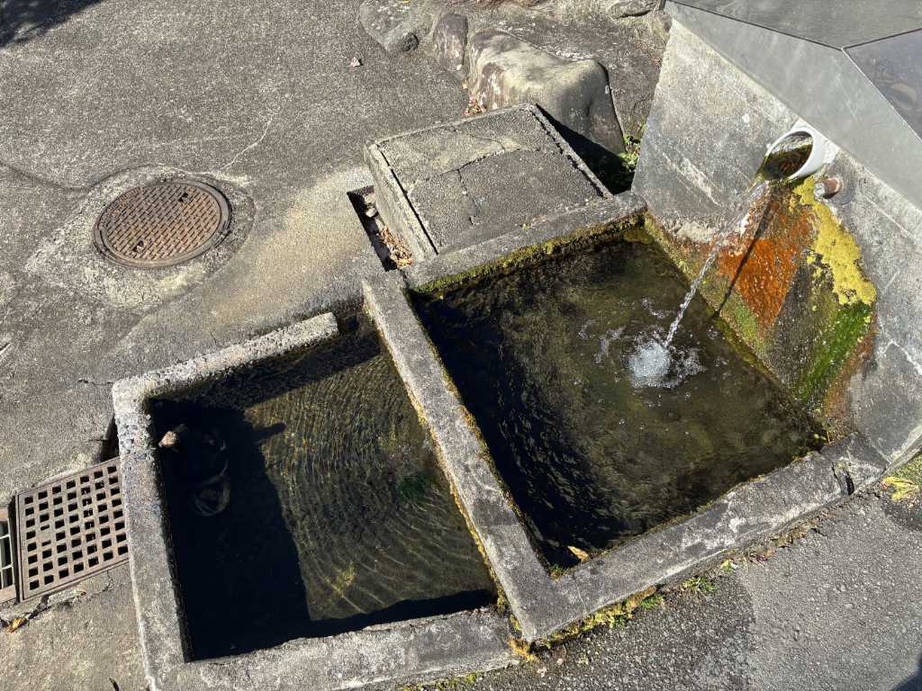 東京都青梅市・滝の川湧水