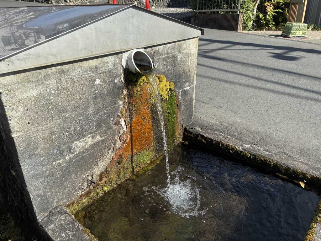 東京都青梅市・滝の川湧水