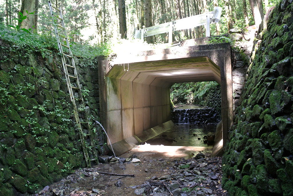 埼玉県小川町・茶の口湧水