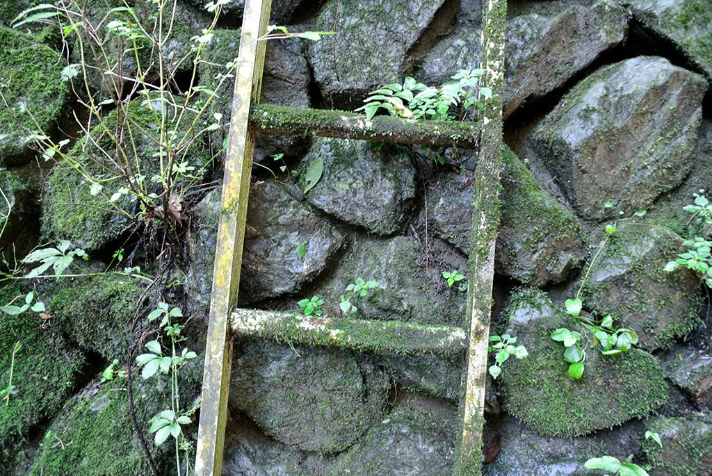 埼玉県小川町・茶の口湧水
