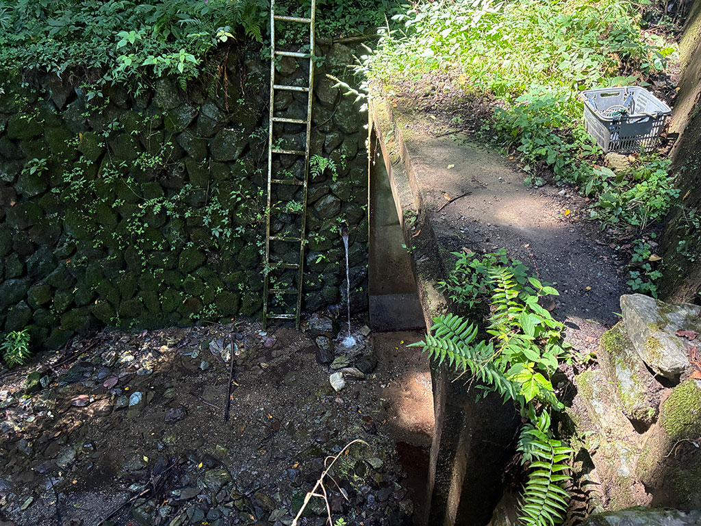 埼玉県小川町・茶の口湧水