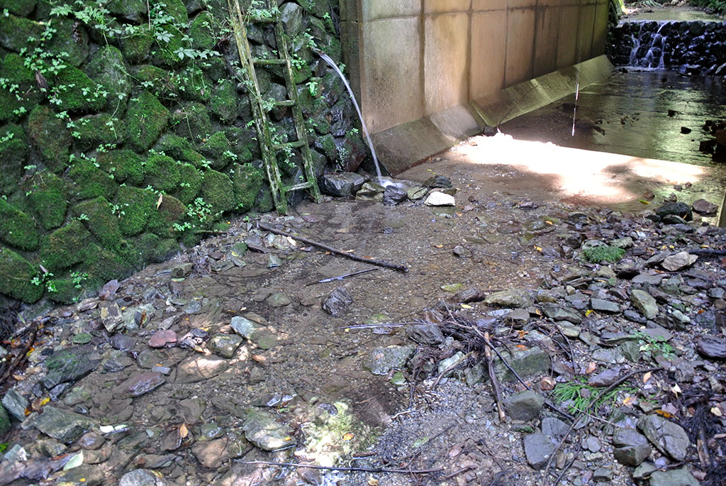 埼玉県小川町・茶の口湧水