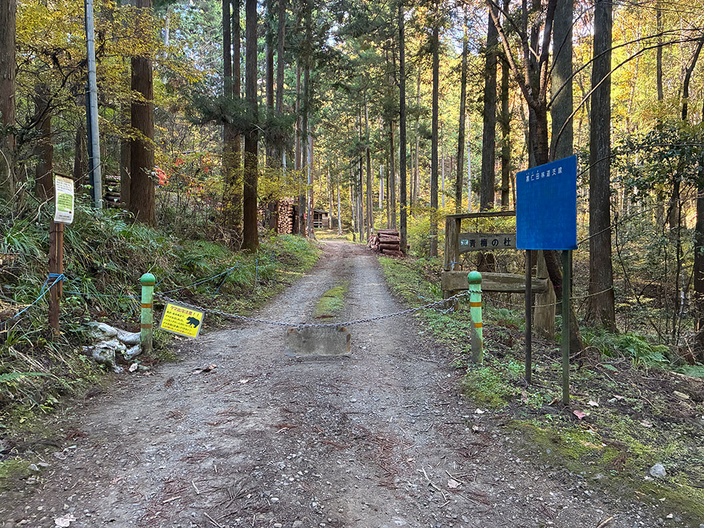 東京都青梅市・青梅の杜の水