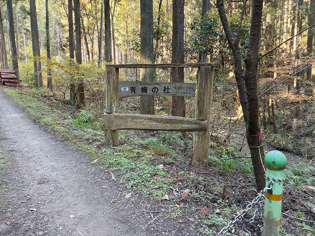 東京都青梅市・青梅の杜の水