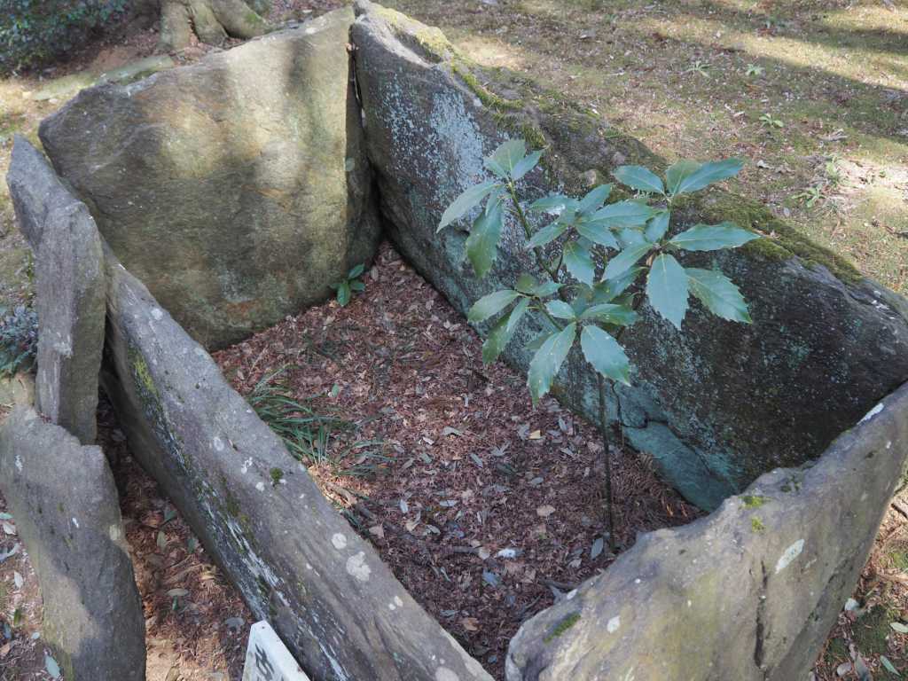 茨城県常総市・安楽寺権者井戸