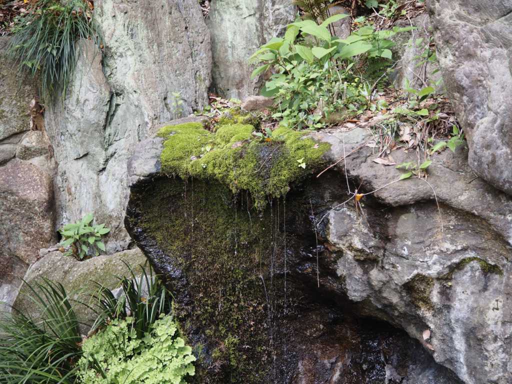 東京都北区・飛鳥山湧水
