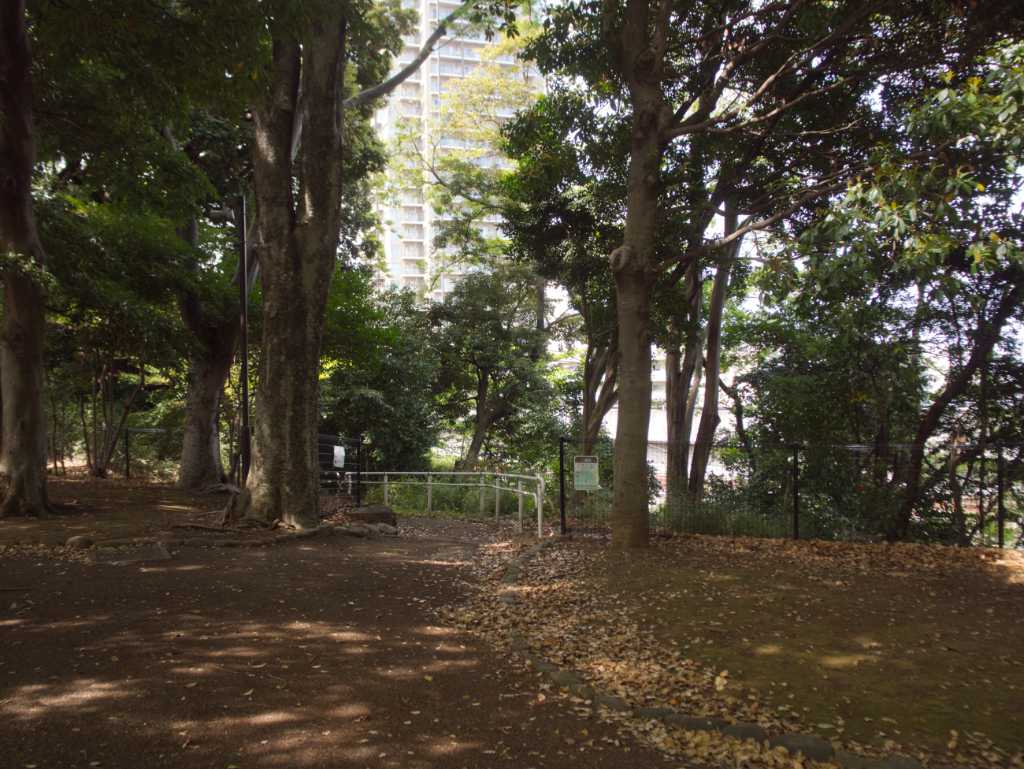 東京都北区・飛鳥山湧水