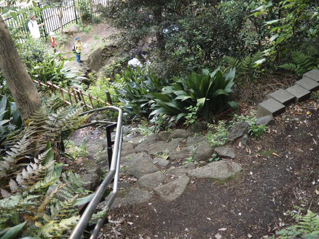 東京都北区・飛鳥山湧水