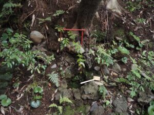 神奈川県川崎市・松壽弁財天御霊泉
