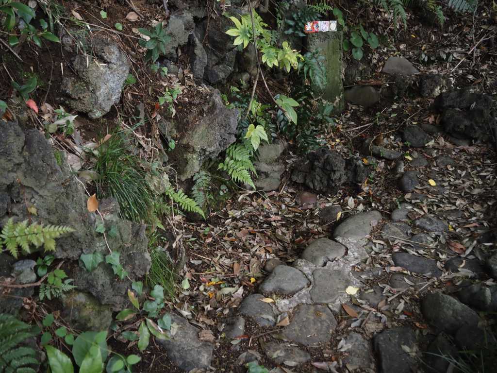神奈川県川崎市・松壽弁財天御霊泉