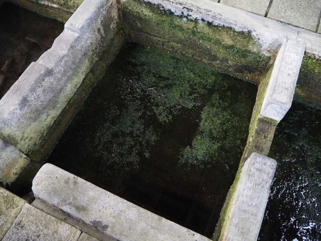 青森県弘前市・富田の清水
