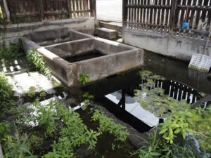 青森県弘前市・御膳水
