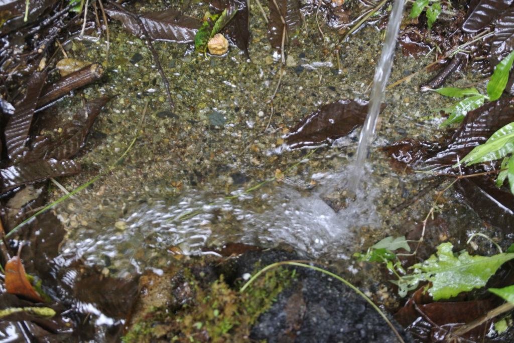 群馬県片品村・仙の滝近くの水