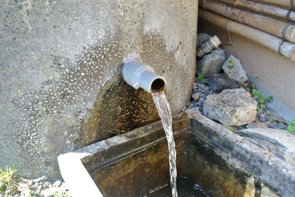 千葉県佐倉市・くもの井の湧水