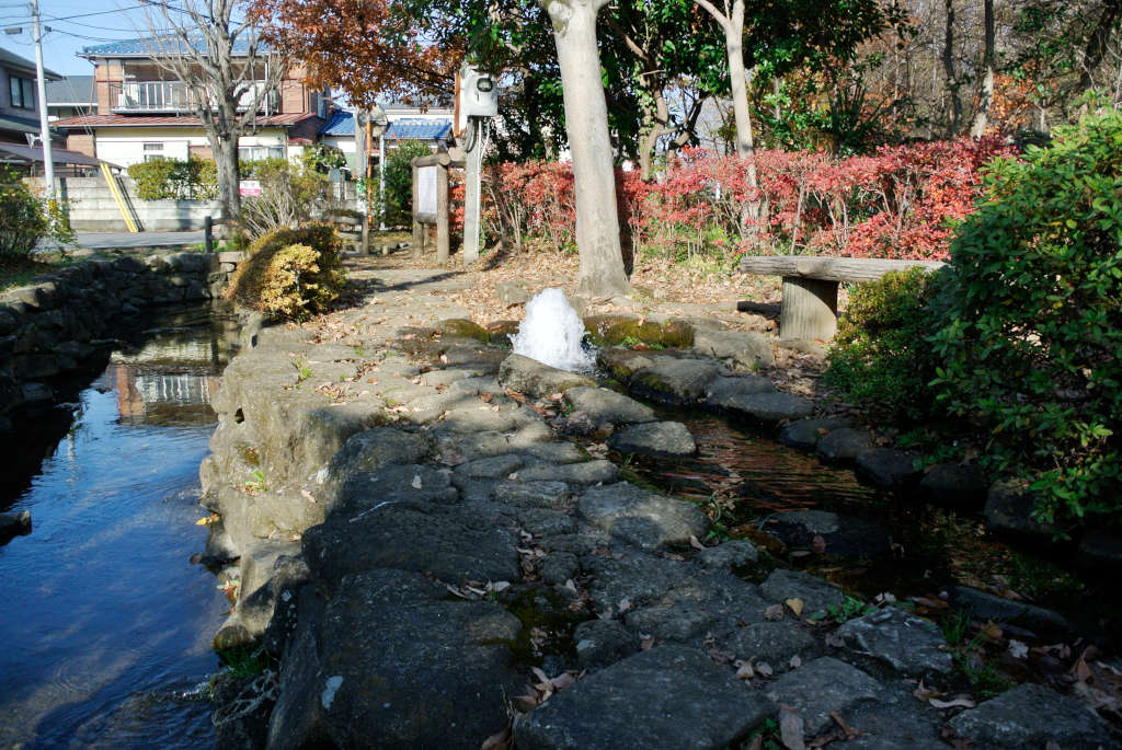 東京都日野市・仲田の森蚕糸公園の自噴水