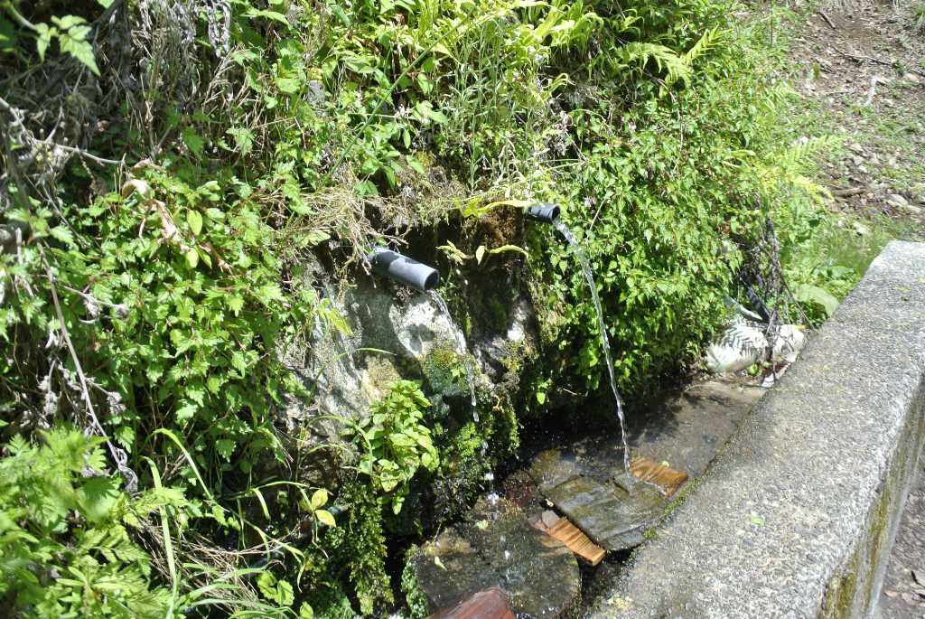 神奈川県相模原市・荒井湧水