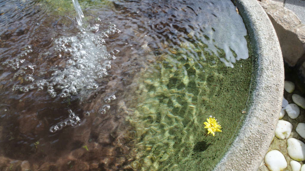 千葉県袖ケ浦市・百目木公園の湧き水
