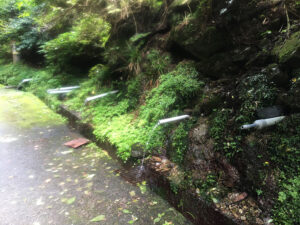 埼玉県飯能市・山中の清水