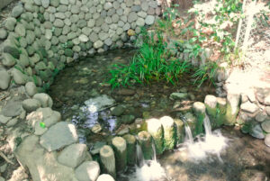 東京都国分寺市・お鷹の道/真姿の池湧水群