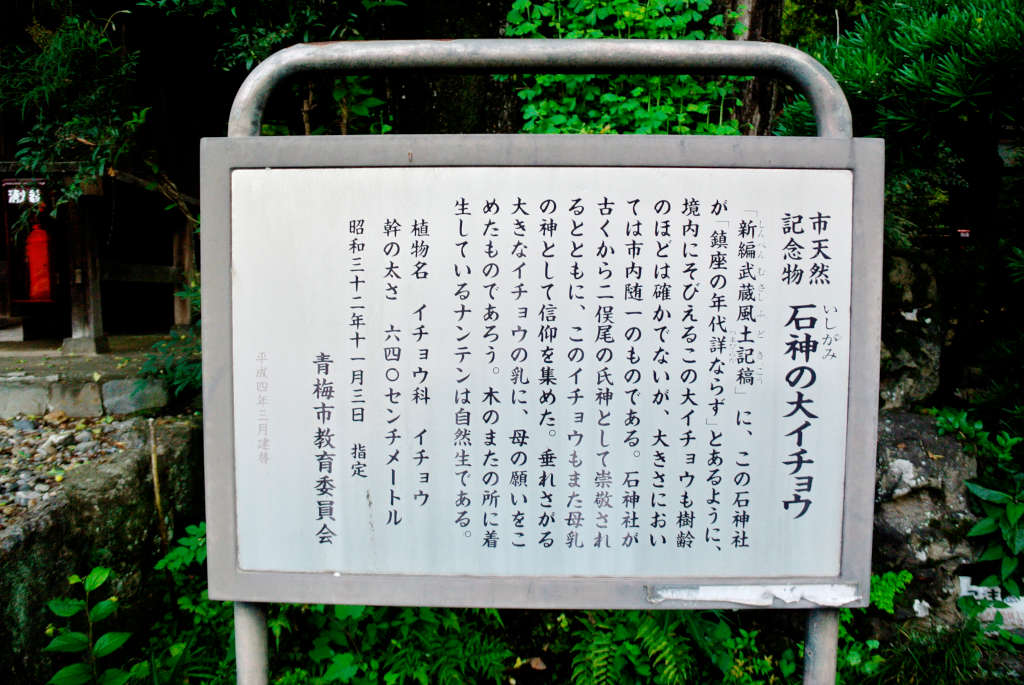 東京都青梅市・石神社の手水
