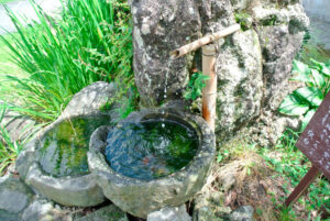 静岡県富士宮市・お茶工房富士園の水